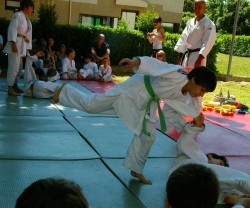 16juin2012-judo-peyruis12.jpg